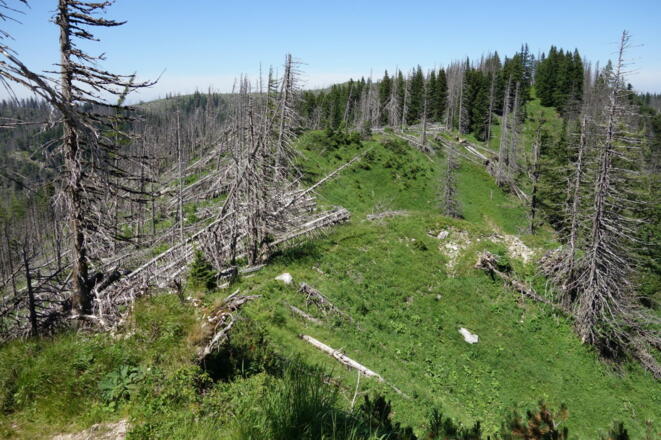 Ein bisschen oberhalb des Haltersitz