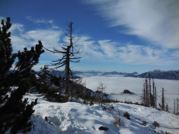 Blick nach Westen