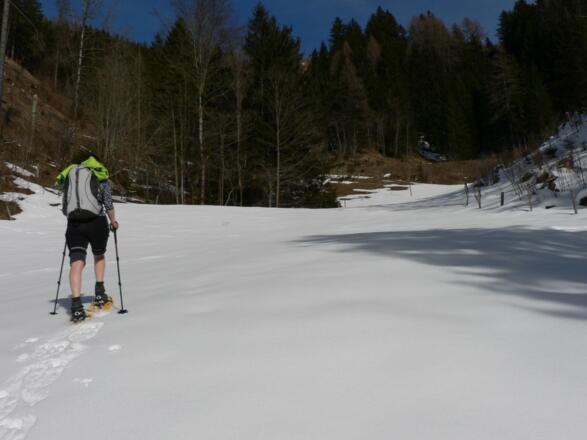 Bis wir schließlich über einen kurzen Wiesenhang zur Forststraße aufsteigen