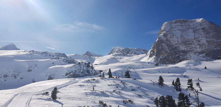 Blick kurz bevor das Wiesberghaus erreicht ist