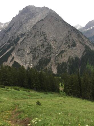 Rückblick auf den schmalen, erdigen Wiesensteig