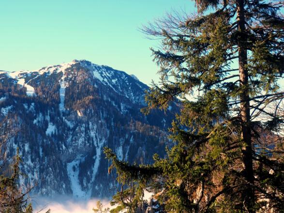 Brenntenkogel 1135m mit Blick zum Feuerkogel