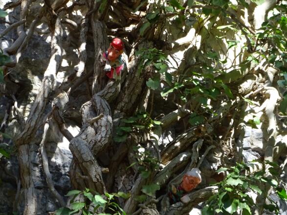 Wo hat sich Kasperl versteckt?