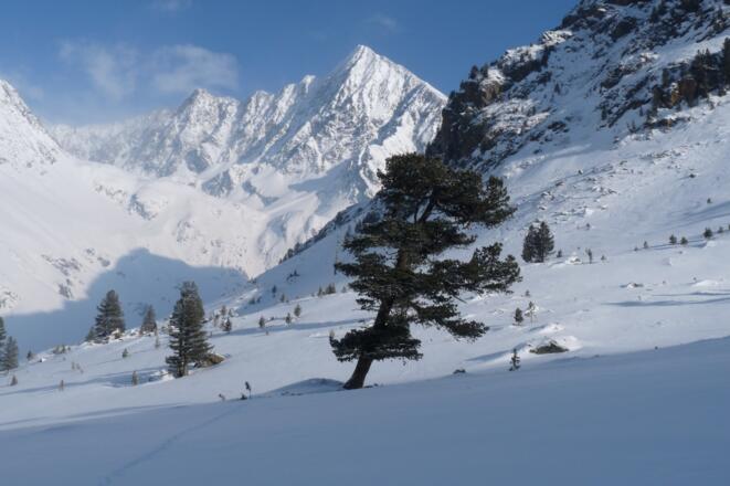 Kurz nach dem Waldabschnitt gelangt man in das sanfte Sulzkar. Dabei schweift der Blick auf den mächtigen Schrankogel.