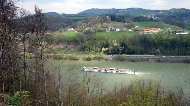 Blick über die Donau ins Mühlviertel (Kahlschlagbereich)