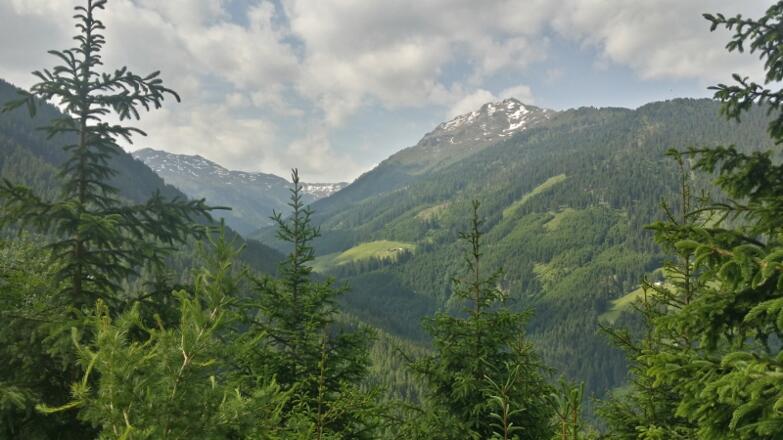 Herrlicher Ausblick auf Tagetlahn Alm und Wildofen.