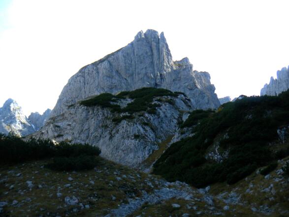 Kleinkaiser aus dem Griesner Kar.