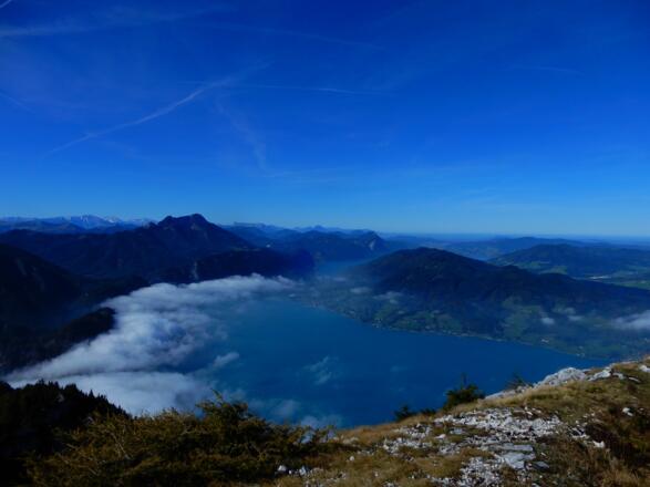 Blick zum Schafberg und zum Attersee