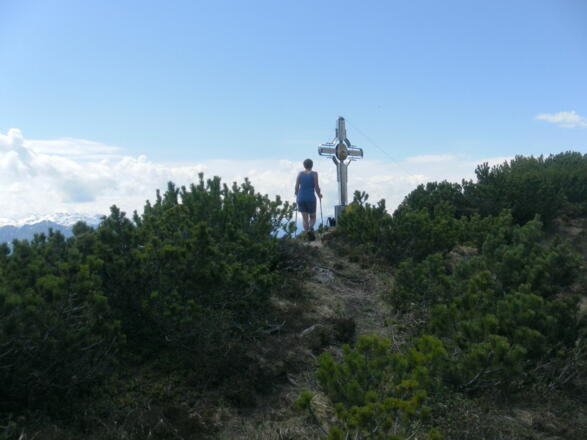 Blessenberg Gipfelrücken