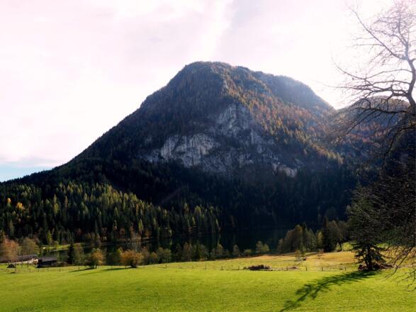 Seespitz 1557m, gesehen vom Präwaldabstieg ~840m