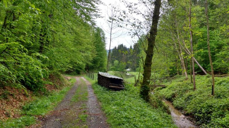 Im Stillen Tal hinaus nach Eibiswald