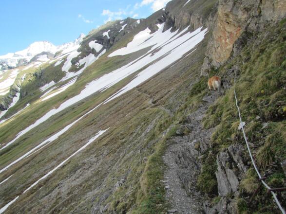 Herrensteig vom Teischnitztal zur Stüdlhütte