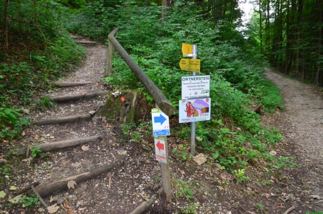 Kreuzung Ortnersteig (links)  / Höhenweg (gerade aus)