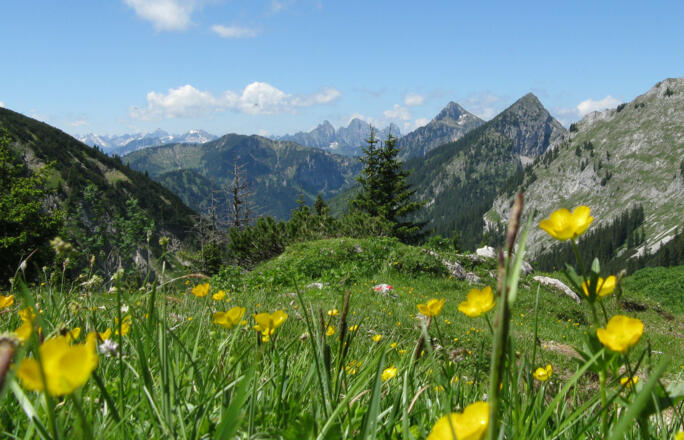 Der Blick nach Osten zeigt uns, von rechts, Hoher Straußberg, Säuling und Tannheimer Berge!