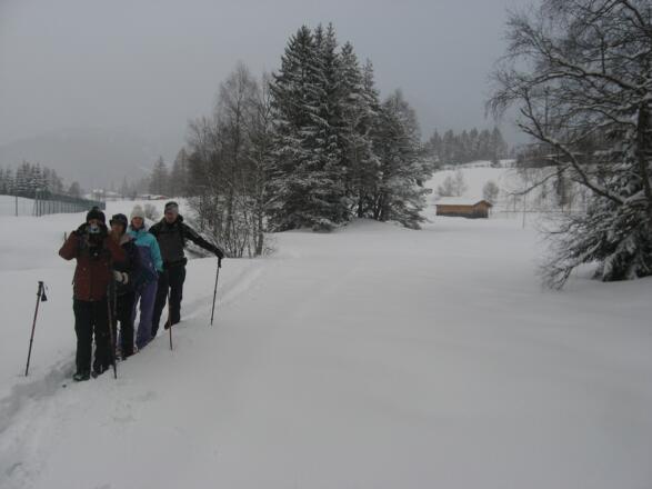 Auf den Wiesen nahe des Raabaches