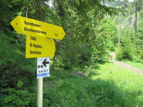 Orientierung und Wegfindung - kein Problem.