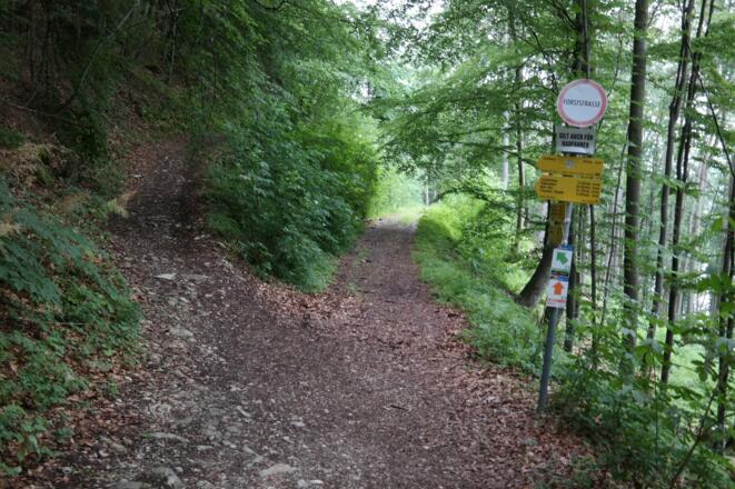 Hier aufpassen: Der Mitterweg benützt den oberen der beiden Wege.
