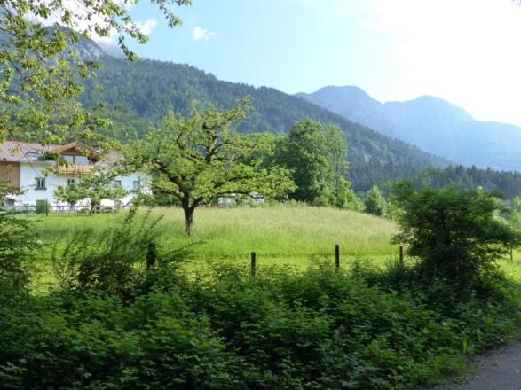 ... zum Garzanhof ...