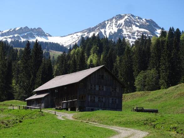 Und wunderschöne alte Höfe