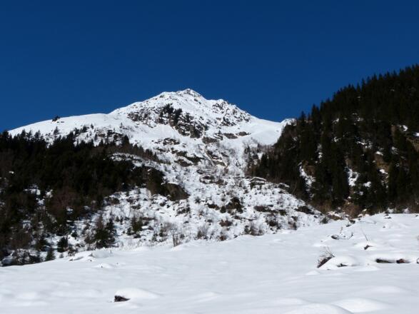 Der letzte Abschnitt, hier gilt es die perfekte Linie durch die Stauden zu finden. Nicht zu spät dran sein, sonst versumpft man hier sprichwörtlich.