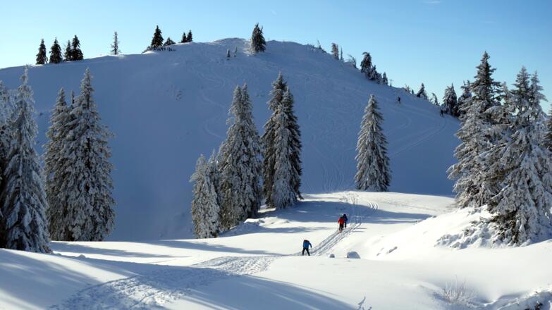 Nordansicht Spitzplaneck, Senke von Osten Anstieg