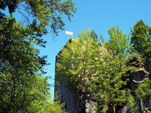 Turm der Ruine Haichenbach, 490m.