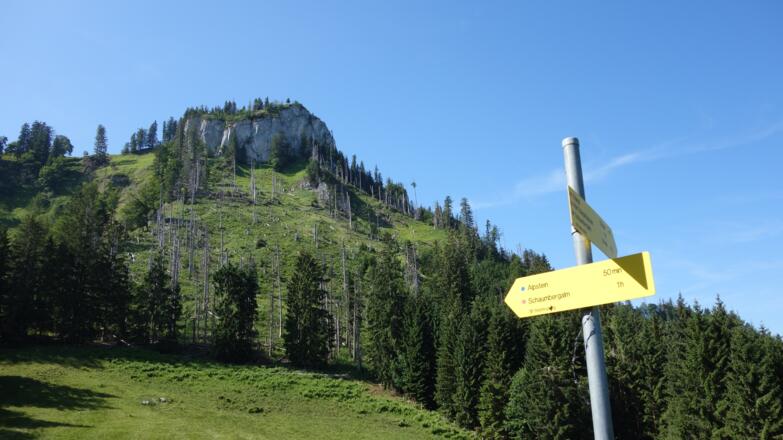 Wegteilung 1195m mit Trämpl