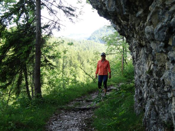 Am Forstweg "Rettenbachleiten"