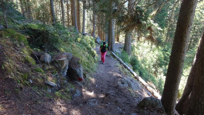 Der Weg ist gut markiert ...