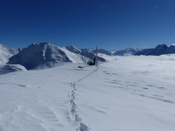 Ein grandioses Panorama auf die hinteren Ötztaler Alpen liegt uns zu Füßen.