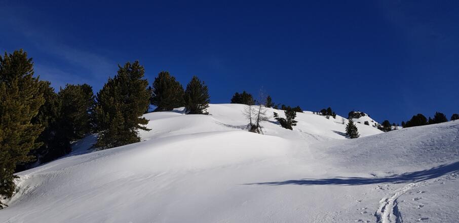 Gleich beim Morgenköpfl