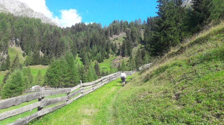 kurz nach dem Taurerrwirt