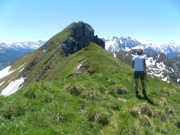 Hirschkopf Nordflanke