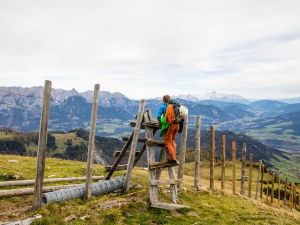 Über den Wildzaun klettern ist es nicht mehr weit bis zur Mitterfeldalm.