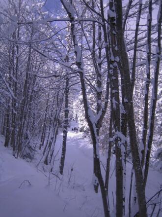 Die ersten Rodler kommen schon wieder runter