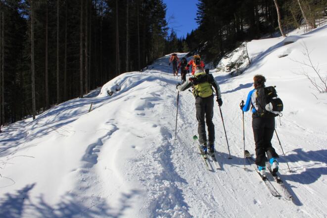 durch das Nahenfeldtal bis zur Lechneralm