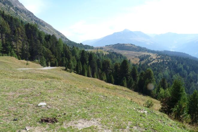 Hier schweift bereits der Blick hinaus nach Plamort.
