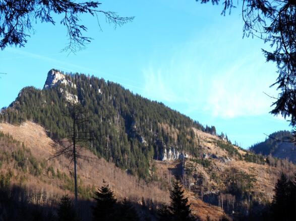 Katzenstein vom Jagdhaus 790 m gesehen