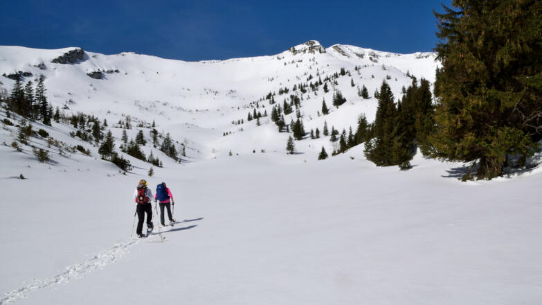 Geradewegs auf die Hänge zu