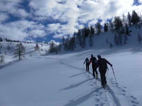 Mulde über der Alm