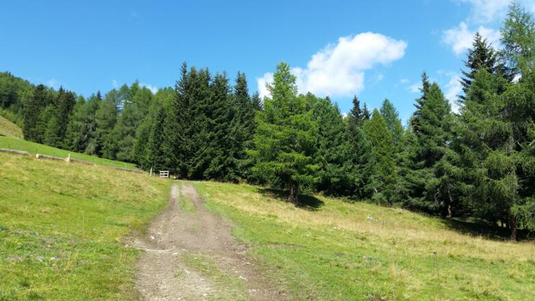 Folgen Sie den Weg