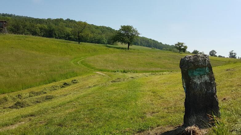 Raus auf die Wiese Richtung Gröbetsweg
