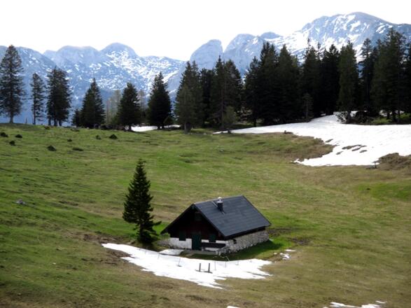 Brombergalm Tiefpunkt um 1430m