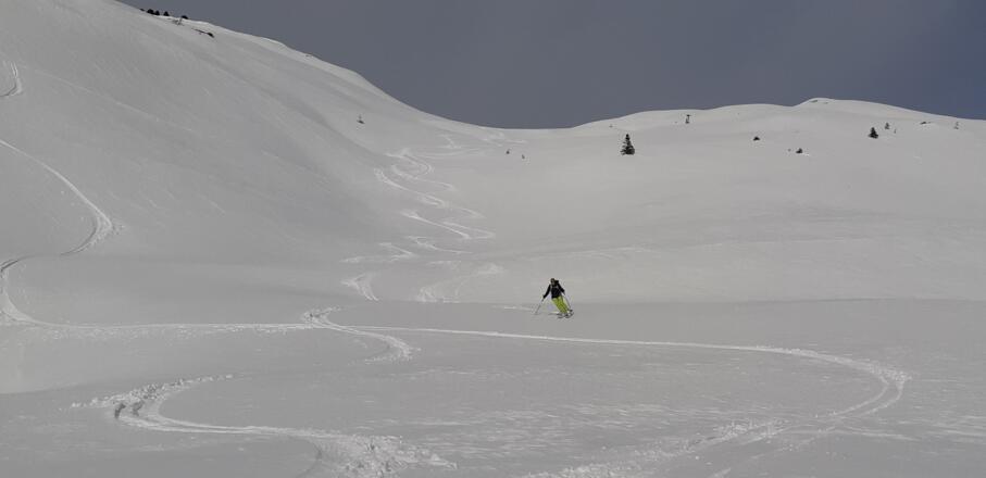 Tolles Skigelände in idealer Neigung.