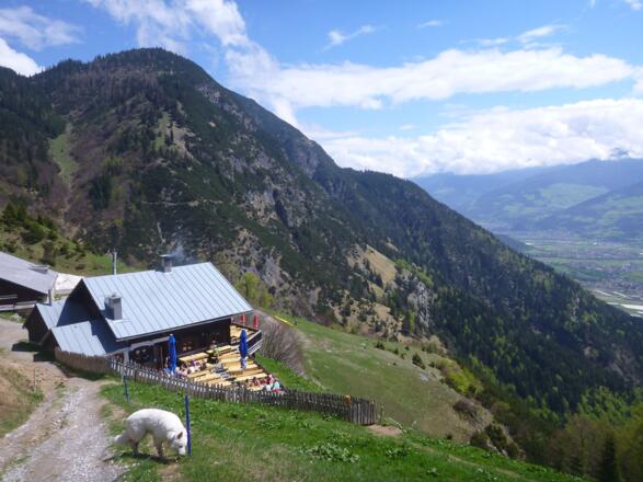 bei der Thaureralm