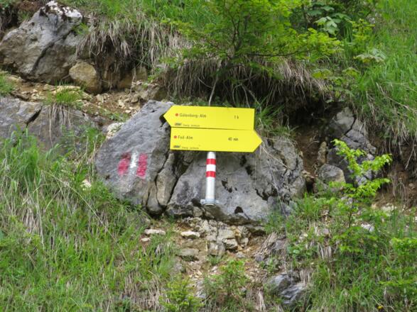 ... über die Gütenbergalm (Wanderweg) auf den Feilkopf.
