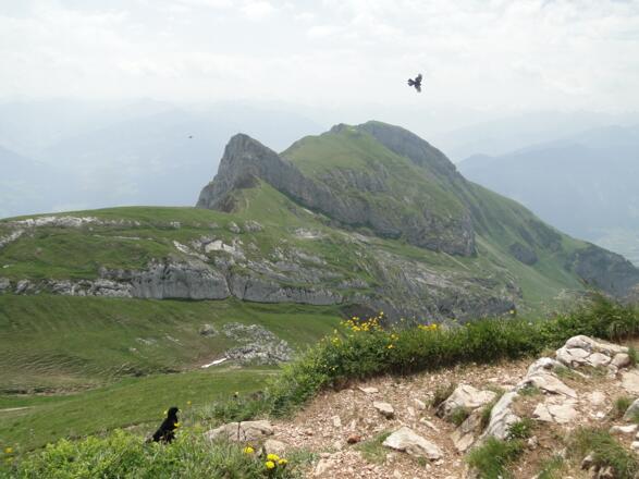 Von der Rofanspitze zum Sagzahn und Vorderem Sonnwendjoch