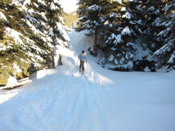 Die Brücke über den Gribenbach.