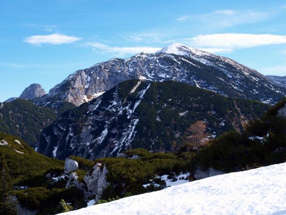 Schönberg, vom Übergang Predigkogel 1690m zur langen Wand gesehen.
