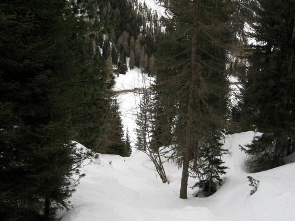 Der Waldaufstieg gleich zu Beginn der Tour